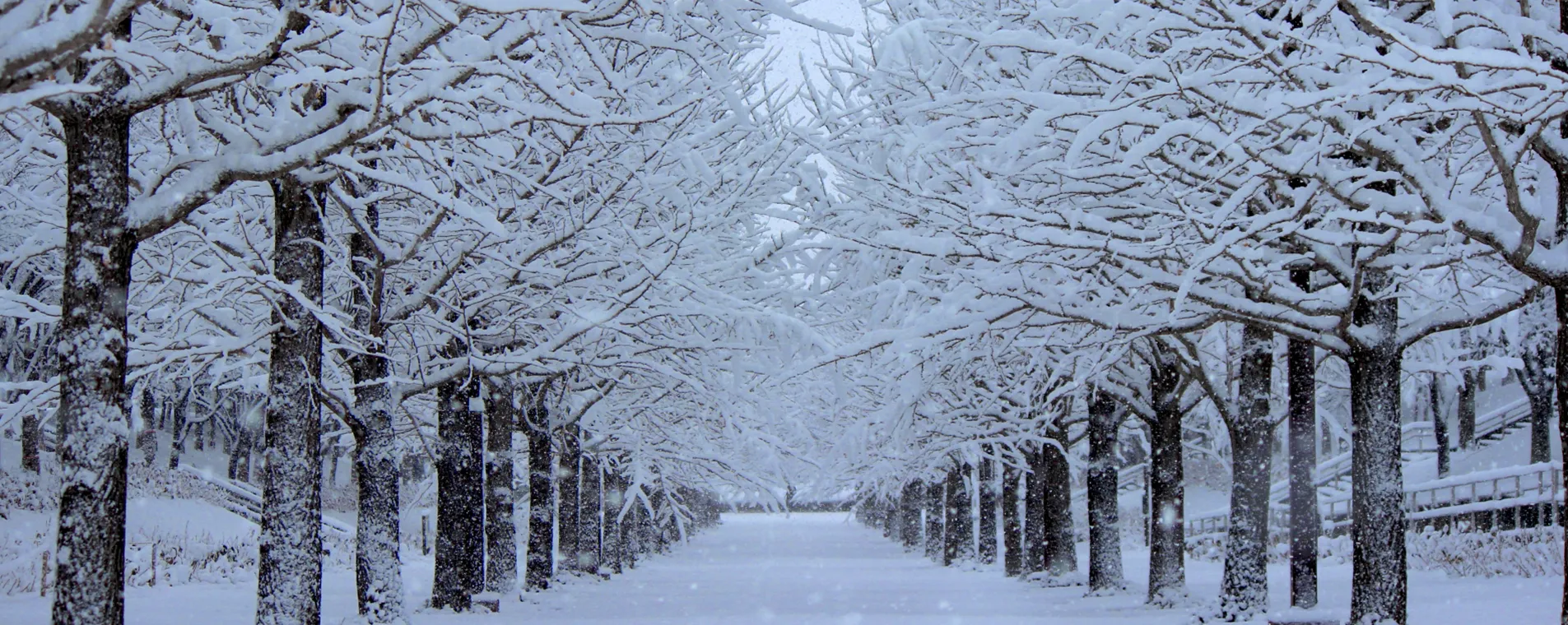 吾妻綜合運動公園