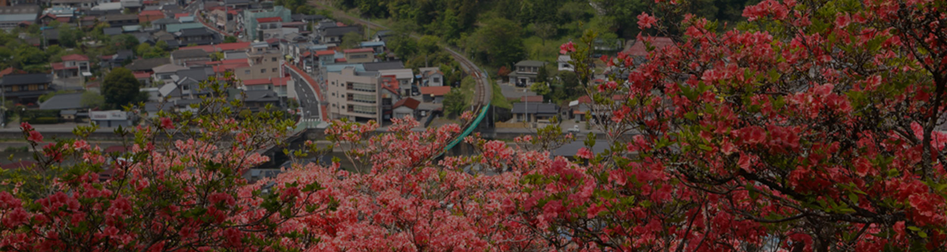 旅遊部落客 達人推薦