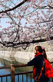 熱血背包女花小姐的MurMur日誌