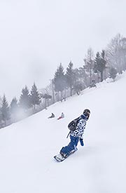 安魯魯的筆記本