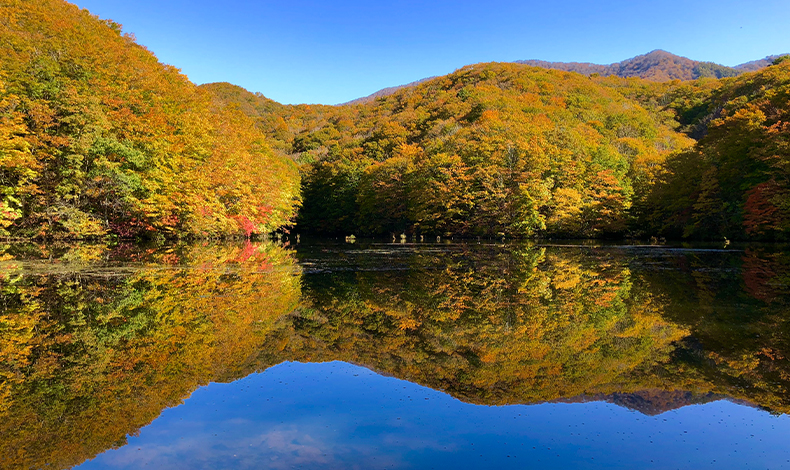 曲澤沼・大澤沼