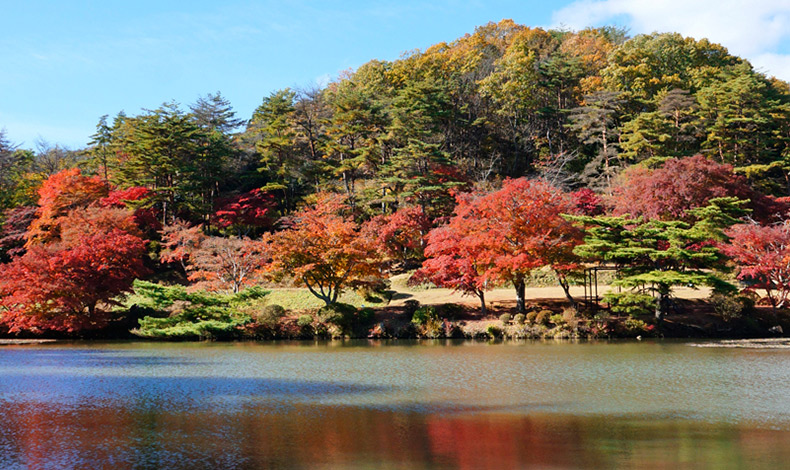 花與歷史之鄉 蛇之鼻