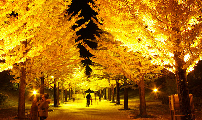 吾妻綜合運動公園