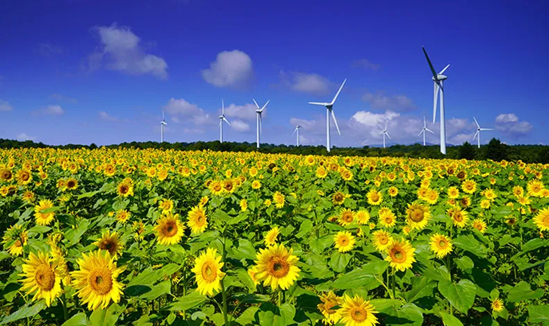 郡山布引風之高原