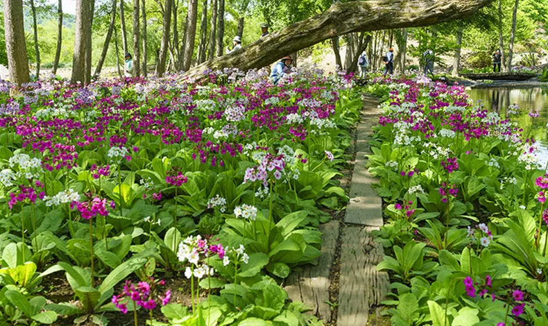 四季之里綠水苑