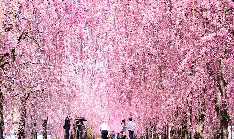 日中線記念自行車步行者道