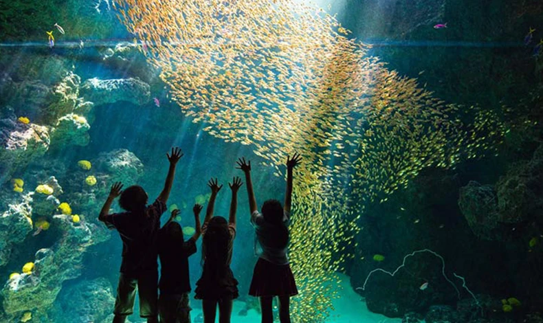 環境水族館AQUAMARINE FUKUSHIMA